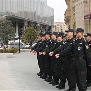 安全技術(shù)防范